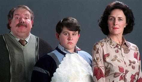 did the dursleys love harry|why did the dursleys not send harry.